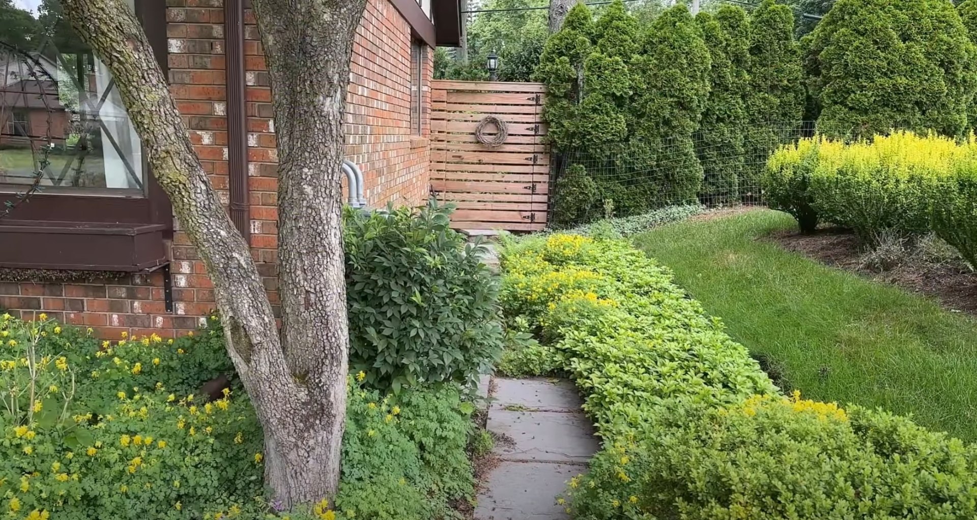 Family-friendly backyard landscape with curved lawn areas and safe plant selections