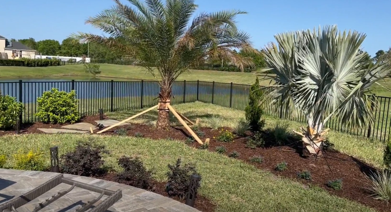 Newly installed sod with palm trees in a residential backyard setting